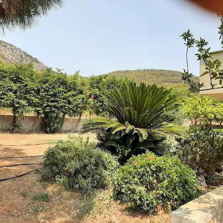 Milo's House